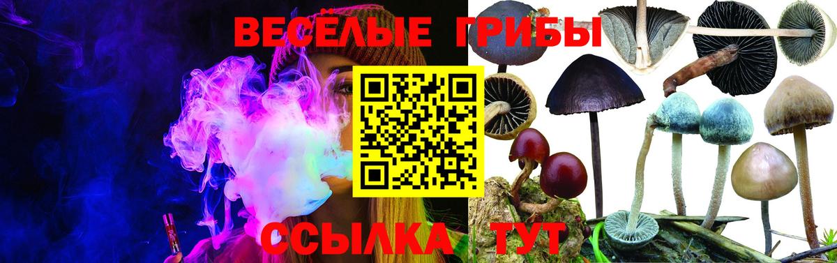 Галлюциногенные грибы GOLDEN TEACHER Миллерово