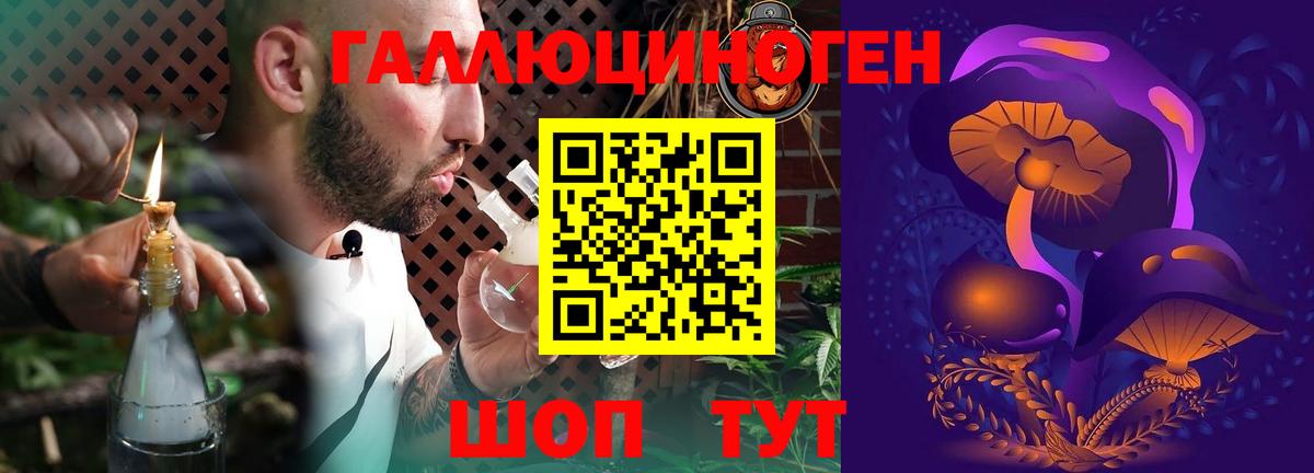 Миллерово  Псилоцибиновые грибы мухоморы  Вход с VPN  Галлюциногенные грибы Psilocybine cubensis 